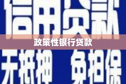 宿州政策性银行贷款