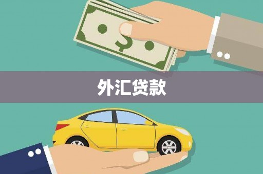 宿州外汇贷款