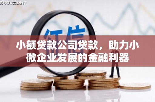 宿州小额贷款公司贷款，助力小微企业发展的金融利器