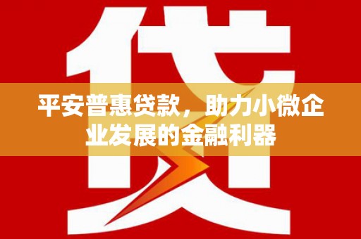 宿州平安普惠贷款，助力小微企业发展的金融利器
