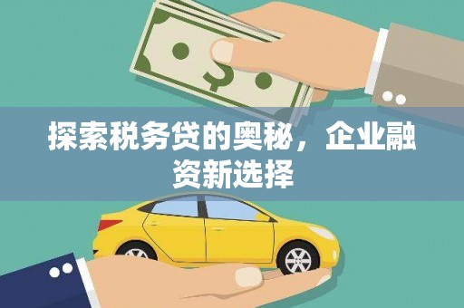 宿州探索税务贷的奥秘，企业融资新选择