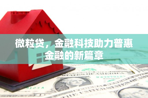 宿州微粒贷，金融科技助力普惠金融的新篇章