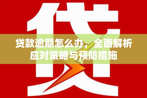 宿州贷款逾期怎么办，全面解析应对策略与预防措施