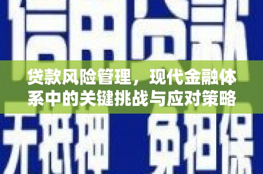 宿州贷款风险管理，现代金融体系中的关键挑战与应对策略