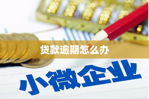 宿州贷款逾期怎么办