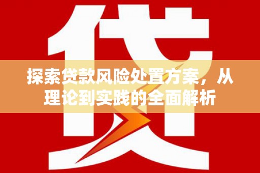 宿州探索贷款风险处置方案，从理论到实践的全面解析