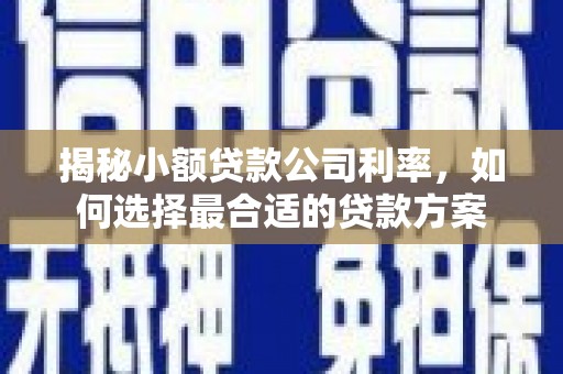 宿州揭秘小额贷款公司利率，如何选择最合适的贷款方案