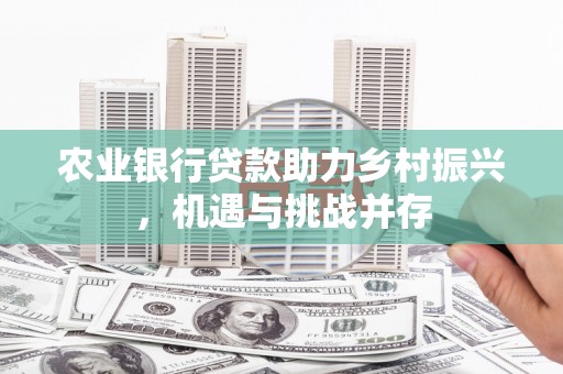 宿州农业银行贷款助力乡村振兴，机遇与挑战并存