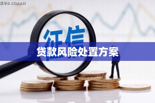 宿州贷款风险处置方案